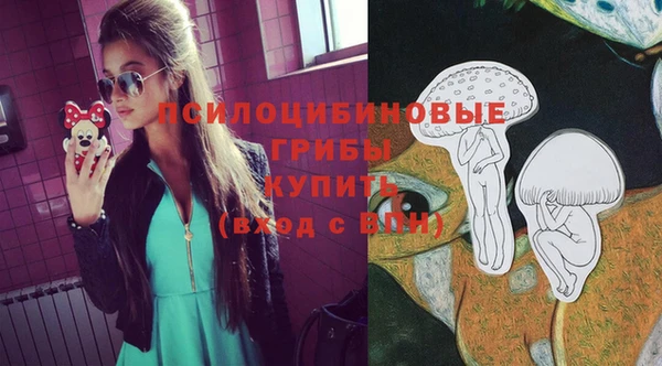 шишки Волосово